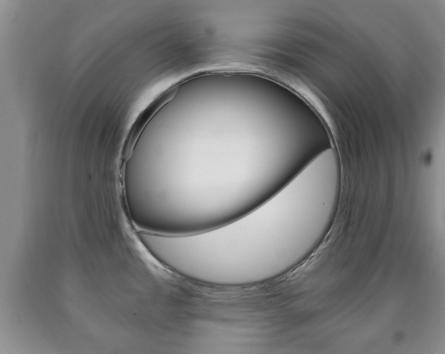 X0000090861485200707270923