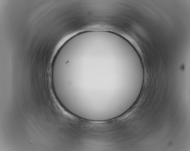 X0000090861486200707270923