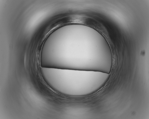 X0000090861487200707270923