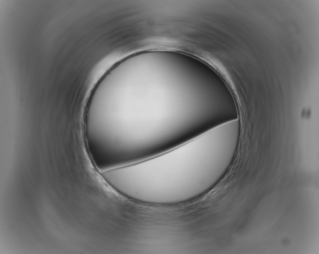 X0000090861488200707270923