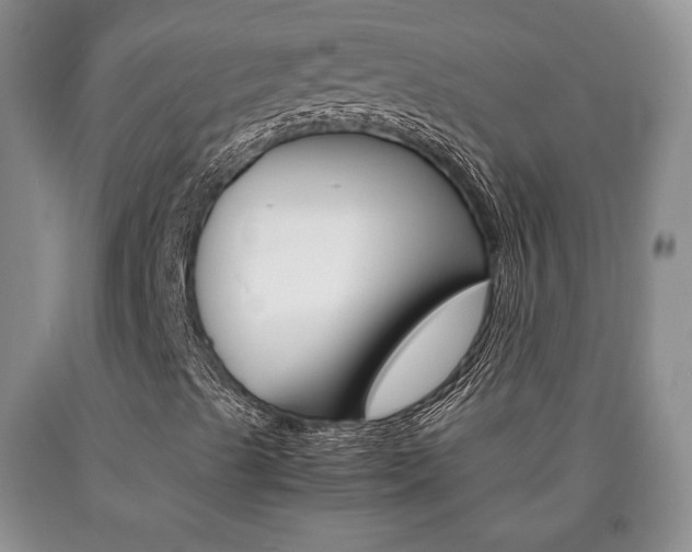 X0000090861489200707270922