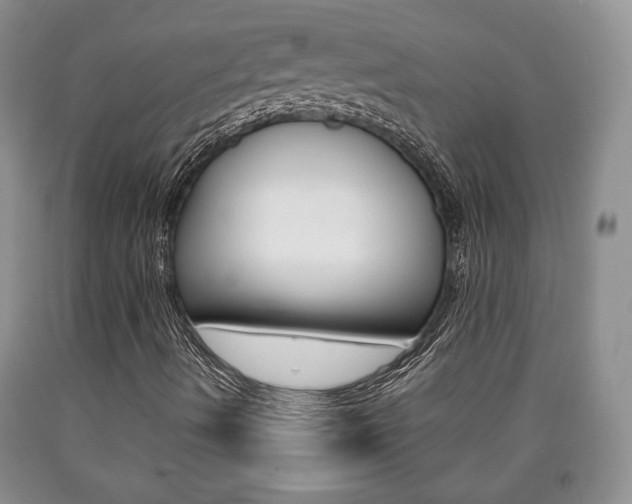 X0000090861490200707270922