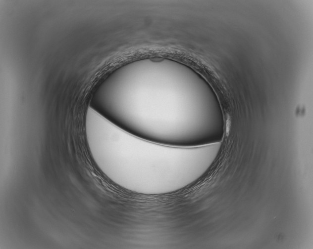 X0000090861492200707270923