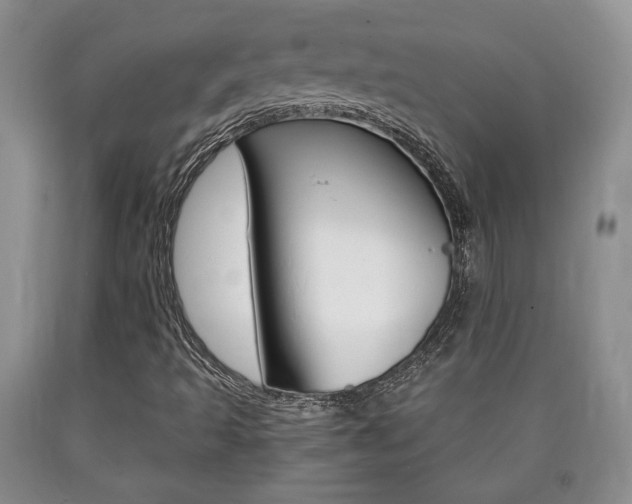 X0000090861493200707270923