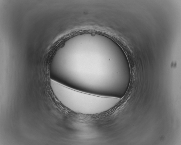 X0000090861494200707270923