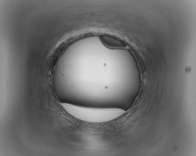 X0000090861495200707270923