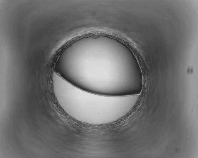 X0000090861496200707270923