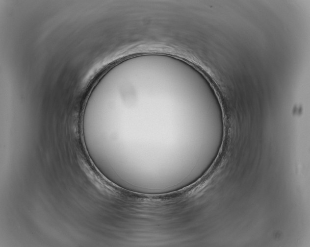 X0000090861499200707270923