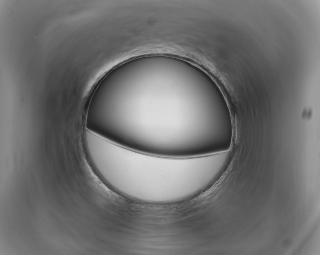 X0000090861500200707270923