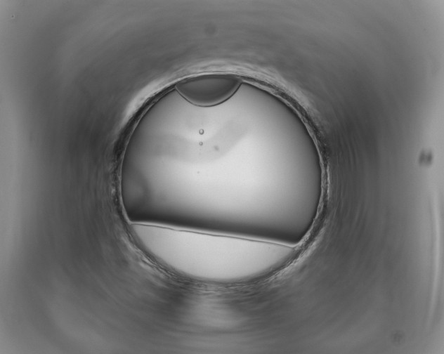 X0000090861501200707270923