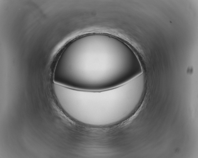 X0000090861502200707270923