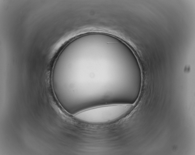 X0000090861503200707270923