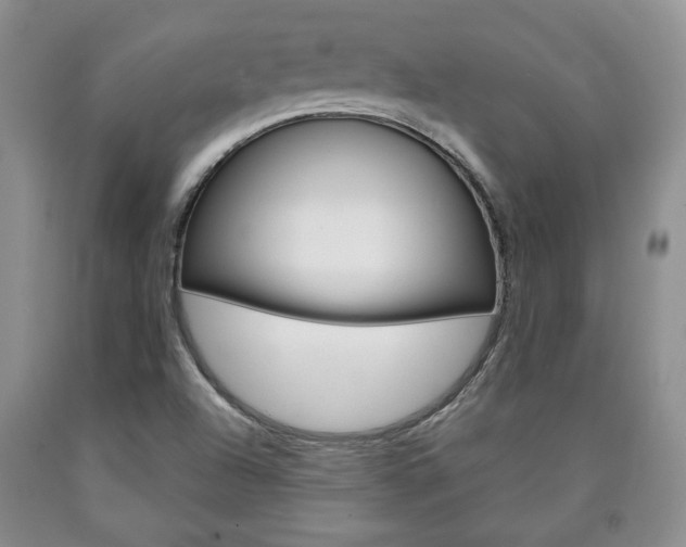 X0000090861504200707270923