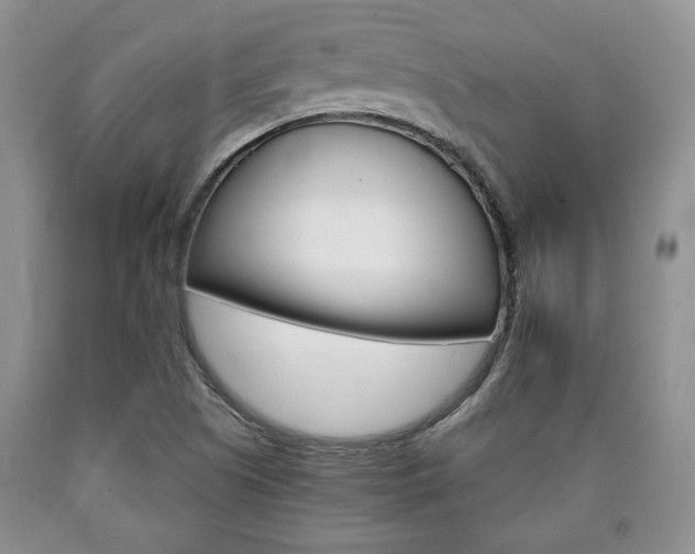 X0000090861505200707270923