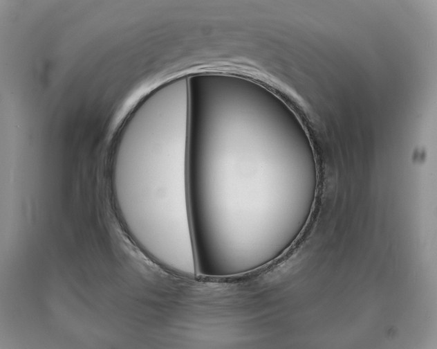 X0000090861506200707270923