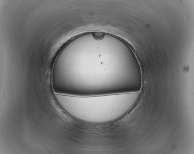 X0000090861507200707270923