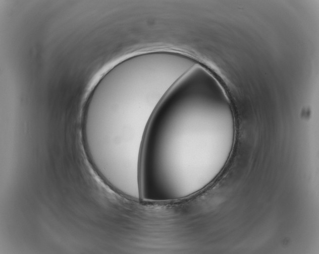 X0000090861508200707270923
