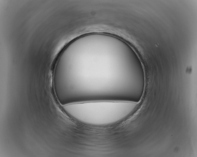 X0000090861509200707270923