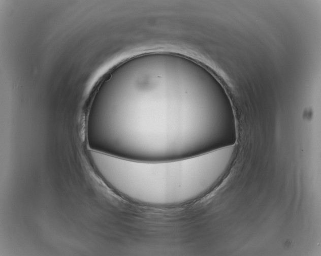 X0000090861510200707270923