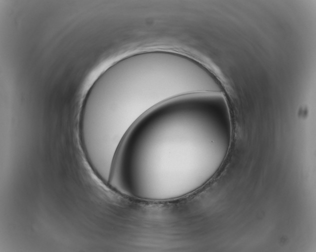 X0000090861512200707270923
