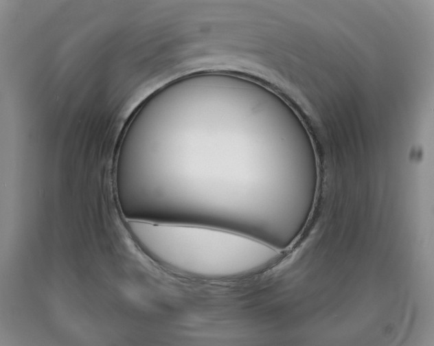 X0000090861513200707270923