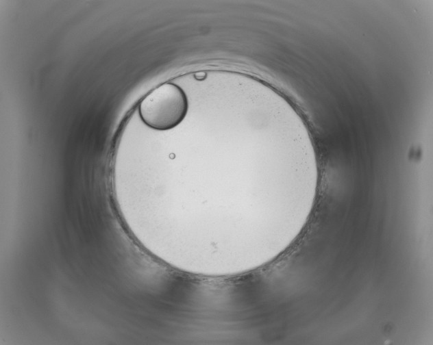X0000090861514200707270923