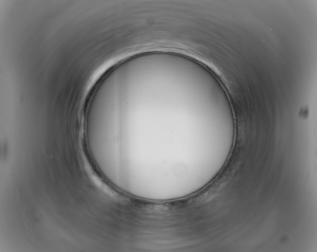 X0000090861515200707270923