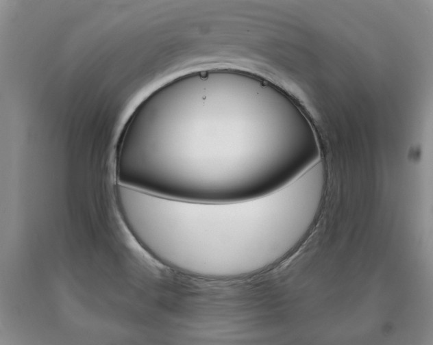X0000090861516200707270923