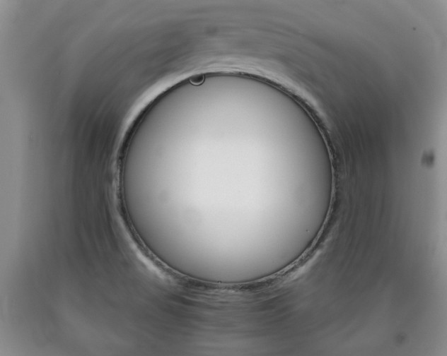 X0000090861517200707270923
