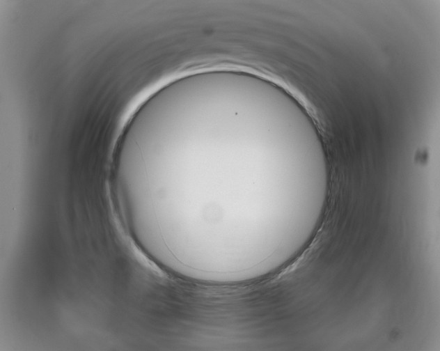 X0000090861518200707270923