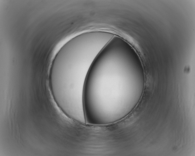 X0000090861520200707270923