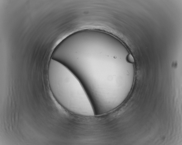X0000090861521200707270923