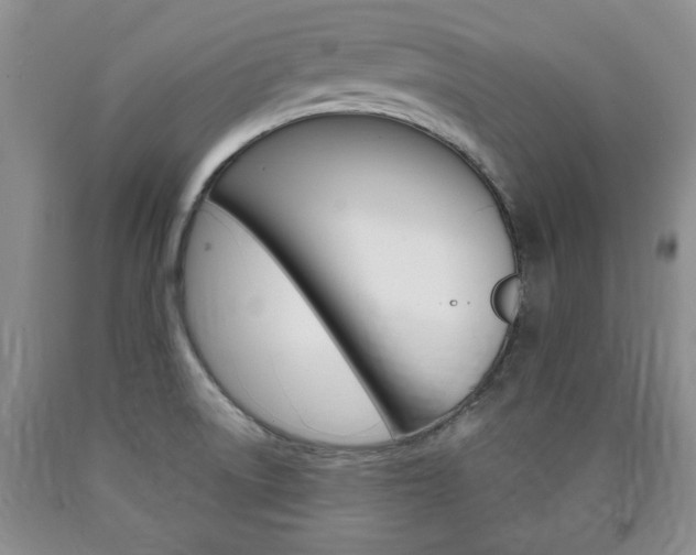 X0000090861522200707270923