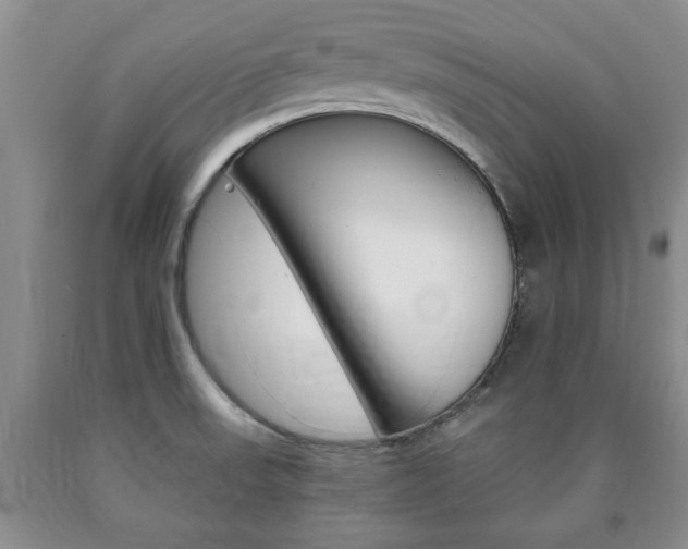 X0000090861523200707270923