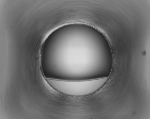 X0000090861524200707270923