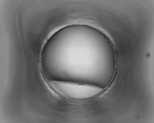 X0000090861525200707270923