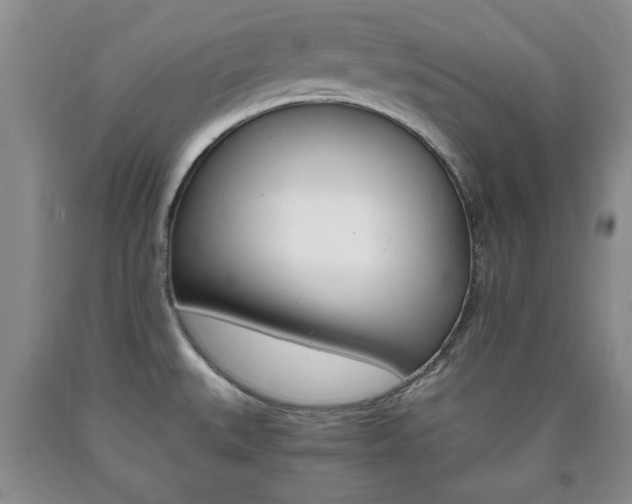 X0000090861527200707270923