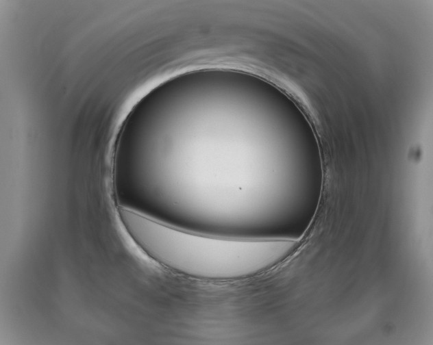 X0000090861528200707270923