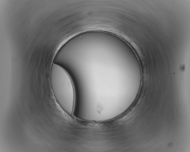 X0000090861529200707270923