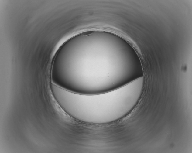 X0000090861530200707270923