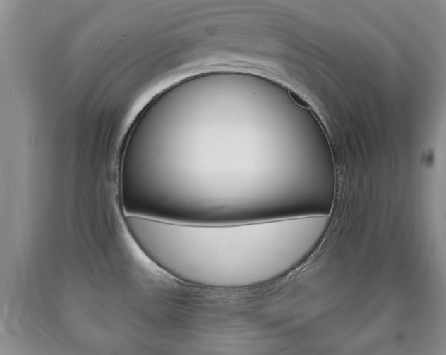 X0000090861531200707270923