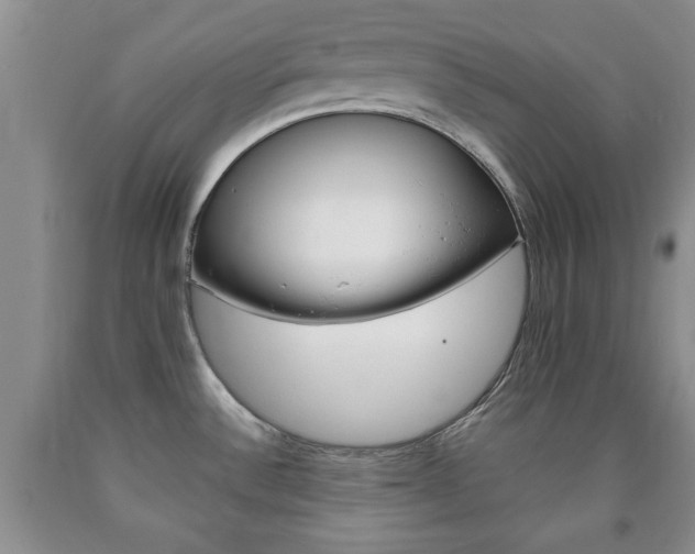 X0000090861532200707270923