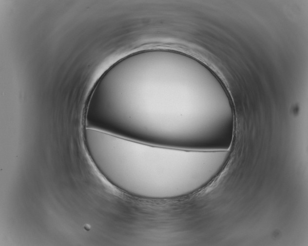 X0000090861533200707270923