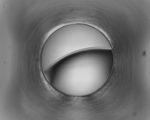 X0000090861534200707270923