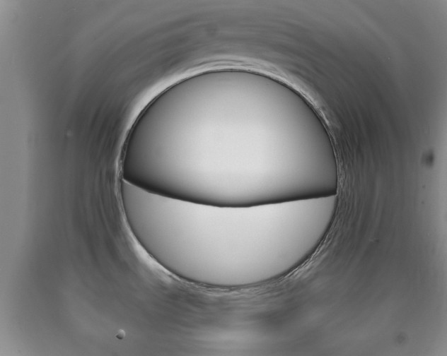 X0000090861535200707270923