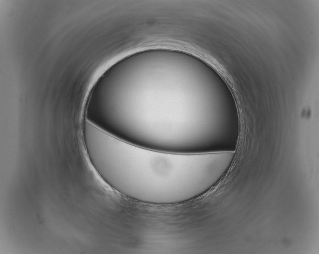 X0000090861536200707270923