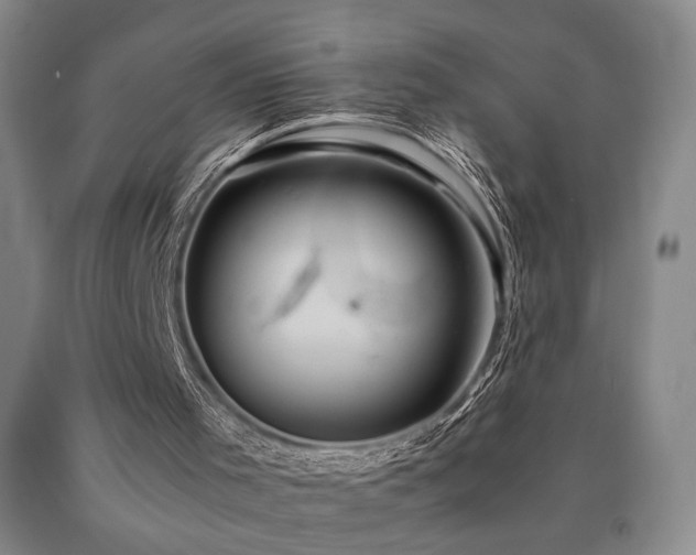 X0000090860001200707271239
