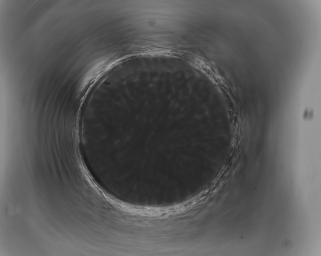 X0000090860002200707271239