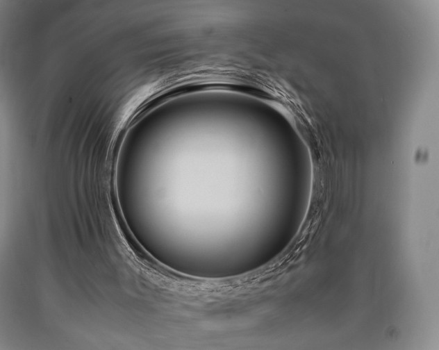 X0000090860003200707271239
