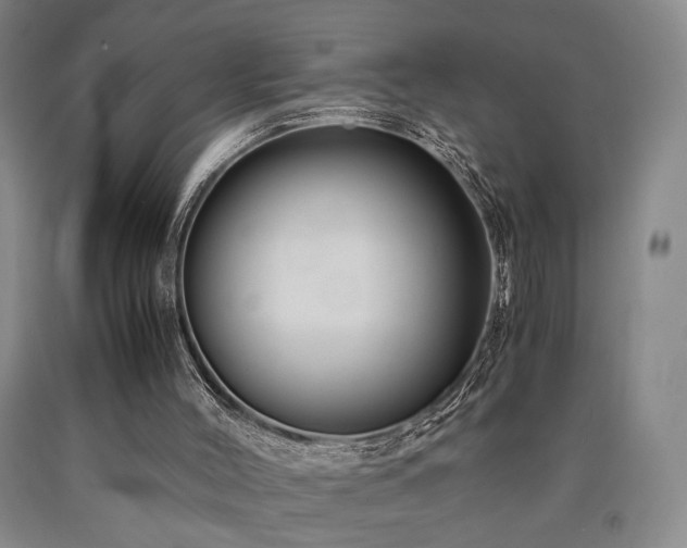 X0000090860004200707271239